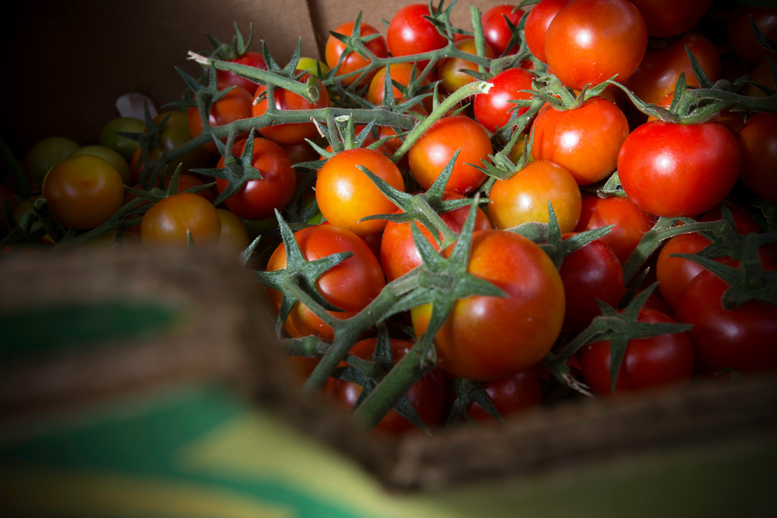 Image of tomatoes